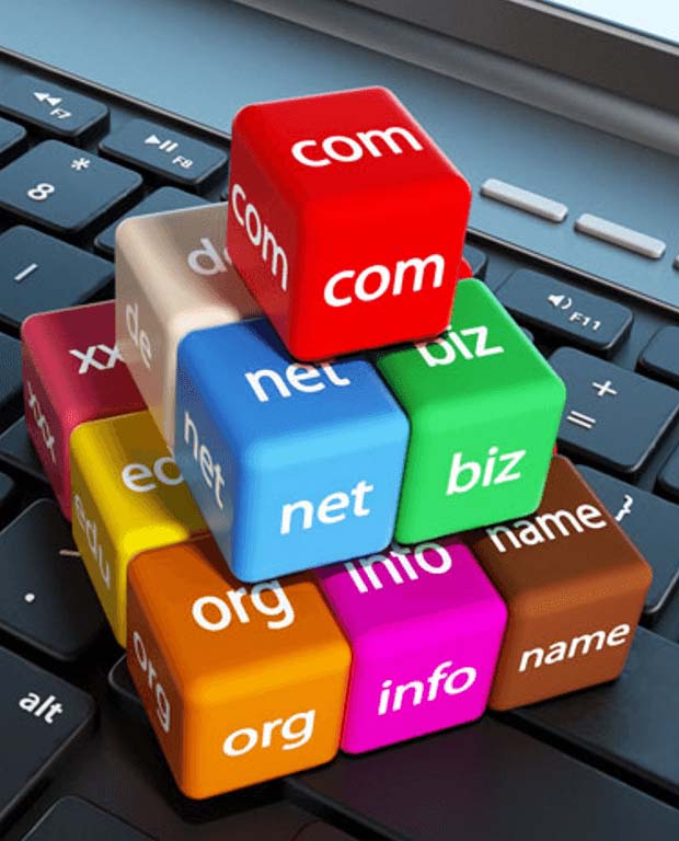 domain name registration